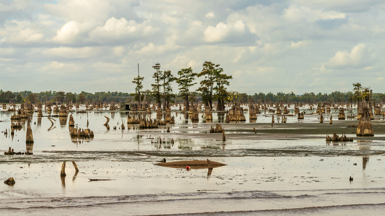 Policy Brief Emphasizes Urgency of Coastal Restoration - Biz New Orleans