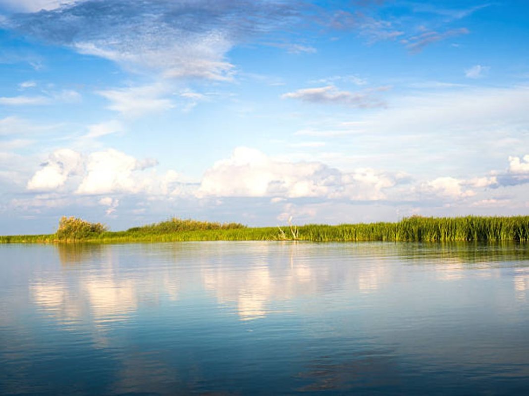 Workforce Development