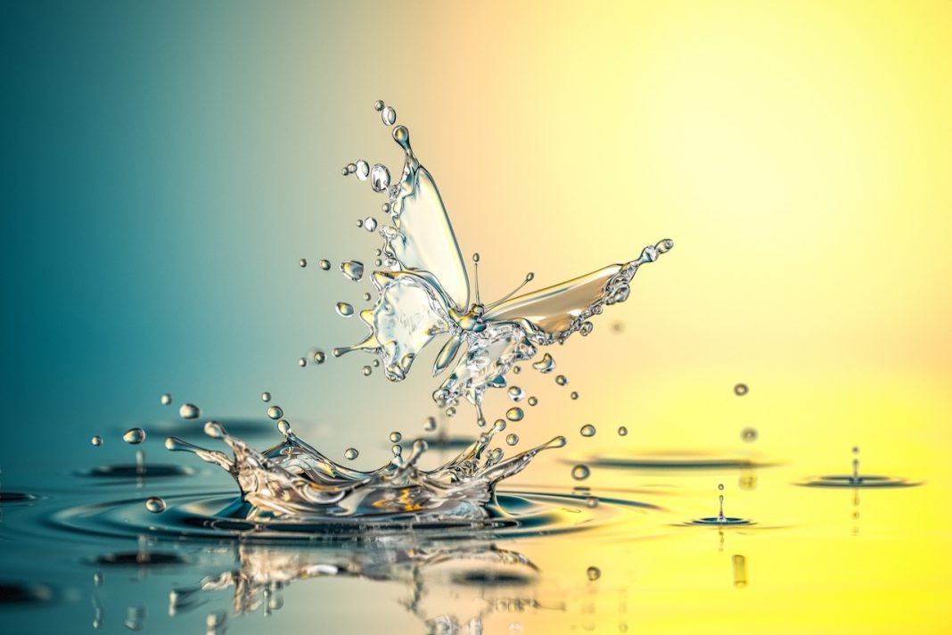 Gulf South Angels Marks Record First Half of 2025