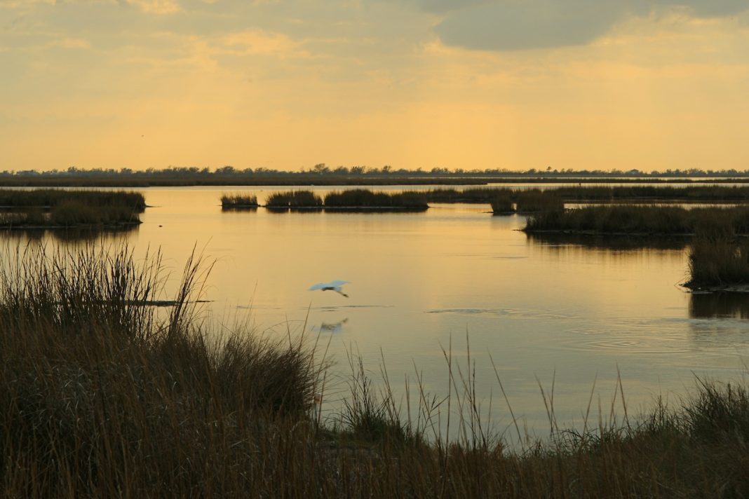 Landry Appoints Louisiana Coastal Authority Head