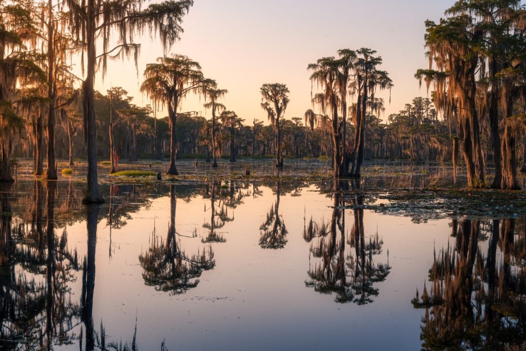 Louisiana Cancels Mid-Barataria Sediment Diversion