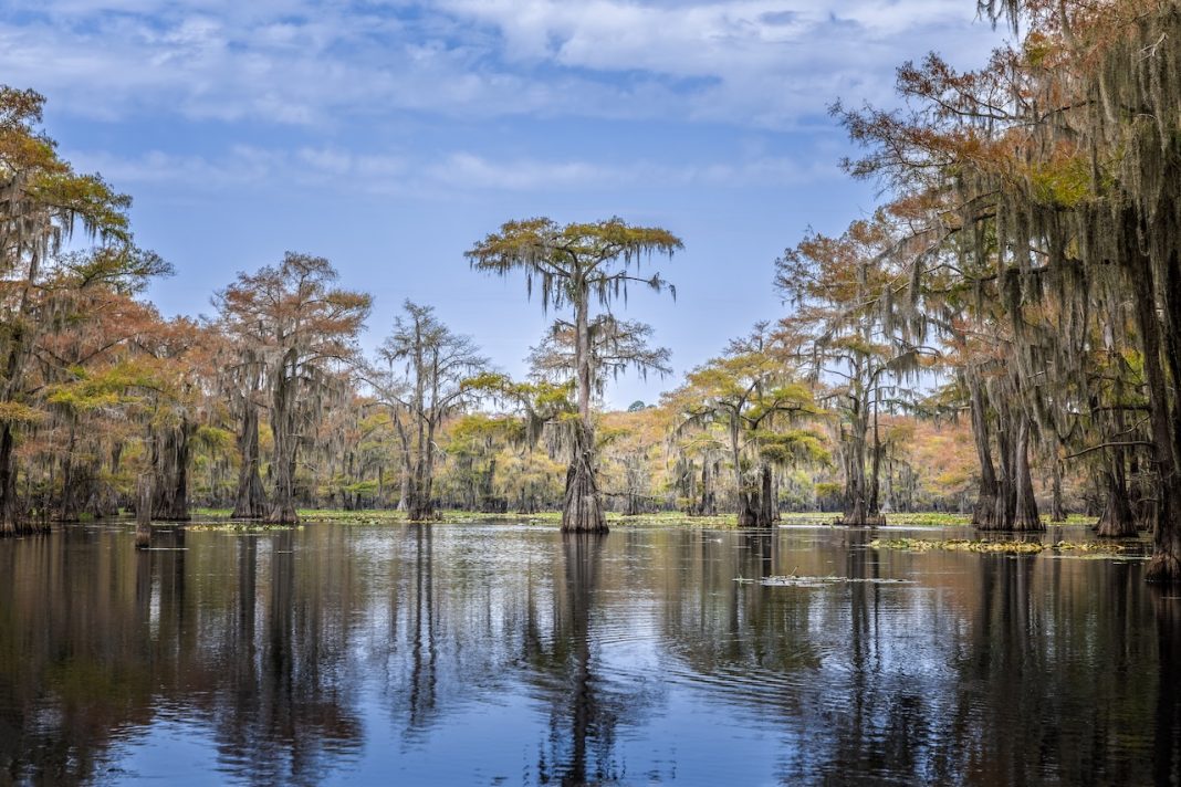 Terrebonne Basin Barrier Island Projects Bolster La. Coast
