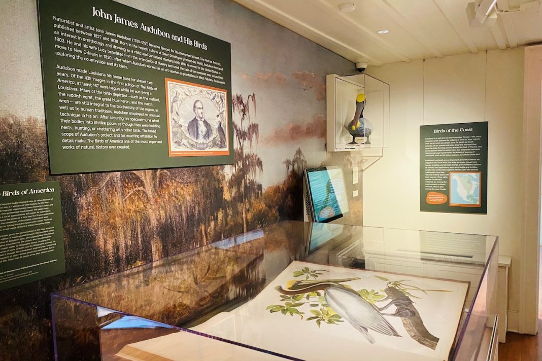 HNOC Offers Free Tours of Katrina-Era Exhibit