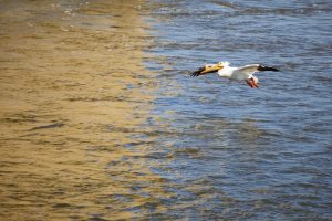 Thumbnail Justinlandry 2019 1