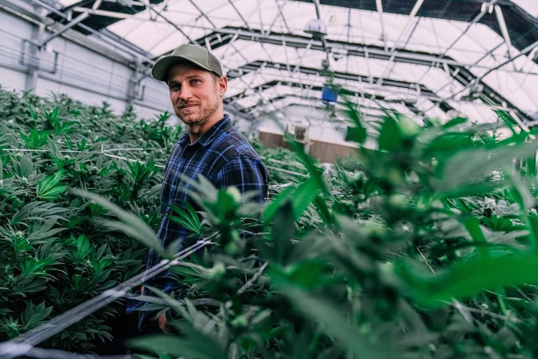 Bipartisan Lawmakers Call for Opposition to Hemp Ban