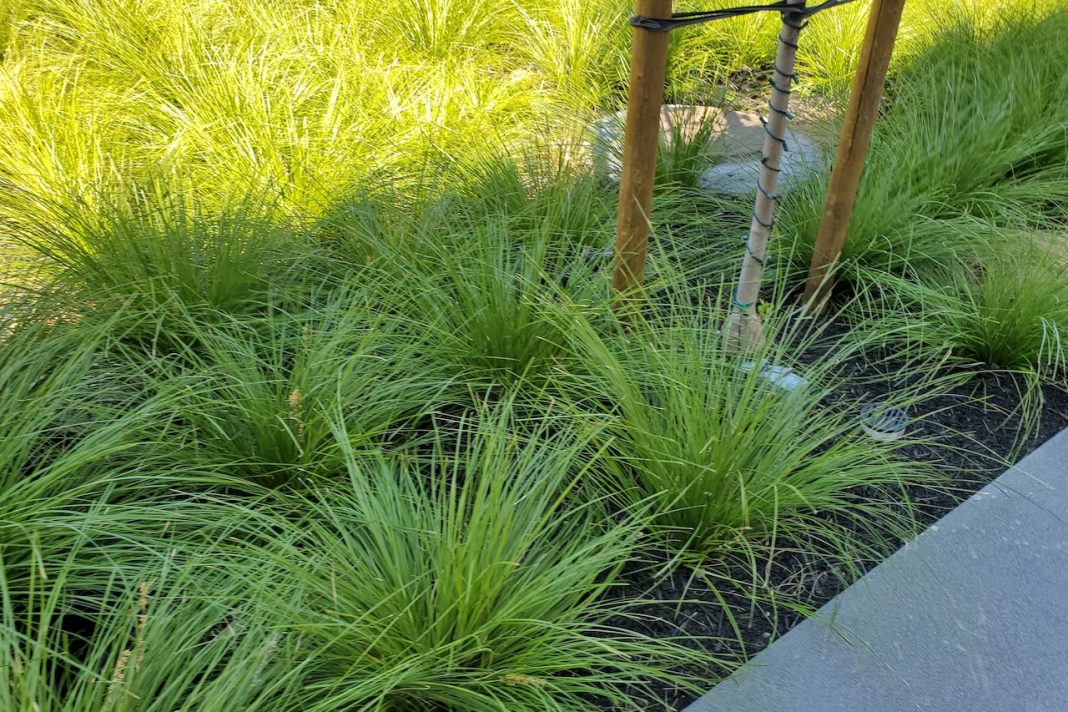 Groundwork New Orleans to Open Stormwater Park