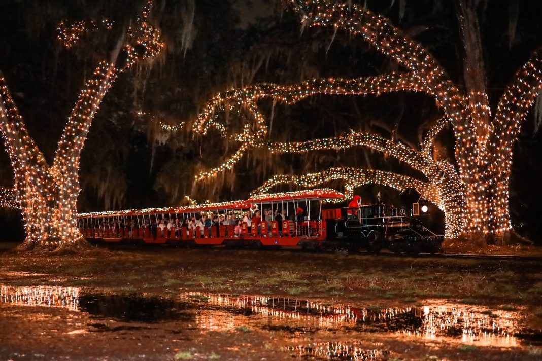 City Park Expands 2025 Celebration in the Oaks 4