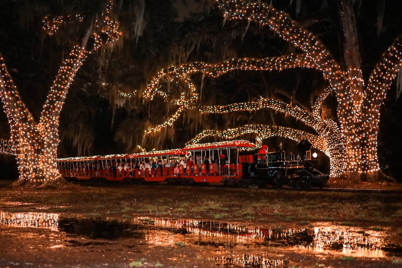 City Park Expands 2025 Celebration in the Oaks - Biz New Orleans