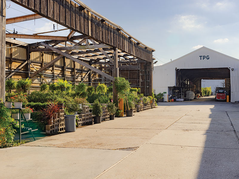 Exterior of The Plant Gallery featuring many rows of potted plants