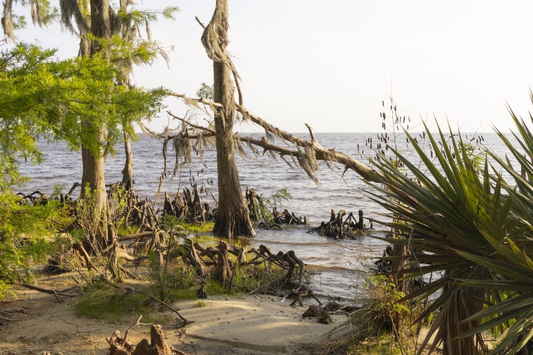 Louisiana Ends Mid-Breton Sediment Diversion