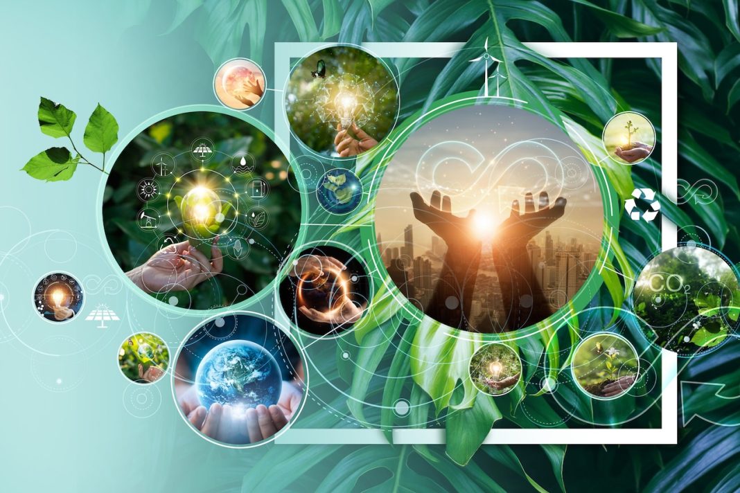 Cleantech Open Marks 20 Years at 2025 Global Forum