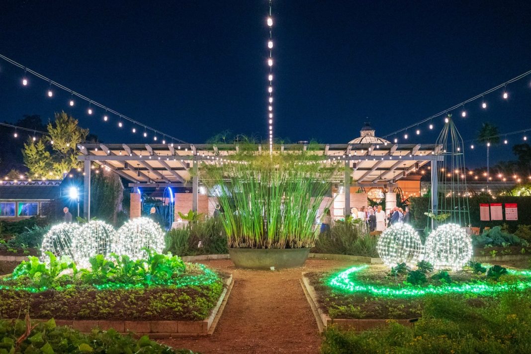 Taste of the Season Returns to City Park