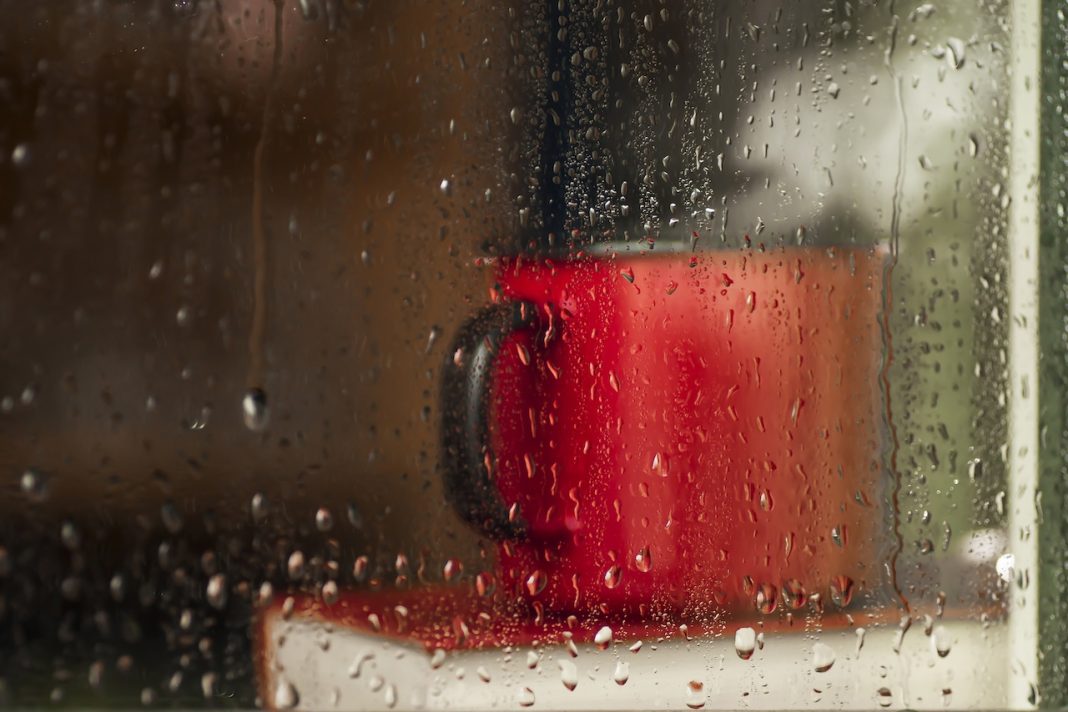 Week-in-Review Dec. 1-5: Green Jobs, Canal St., Amtrak and More