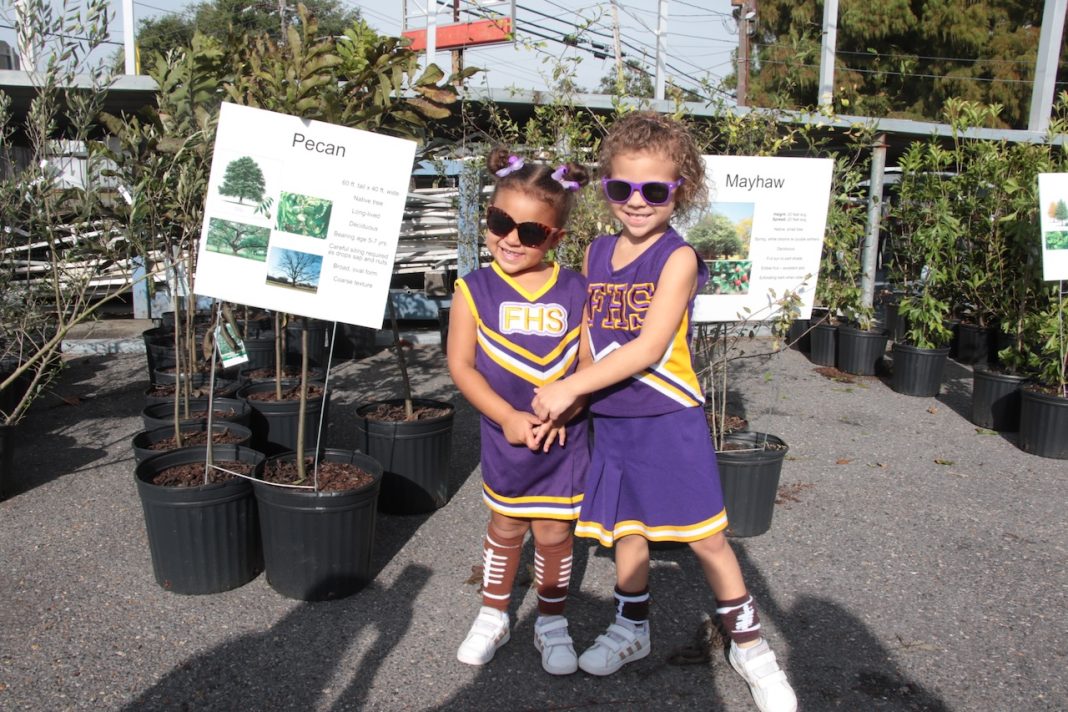NOLA Tree Project to Give Away 700 Trees
