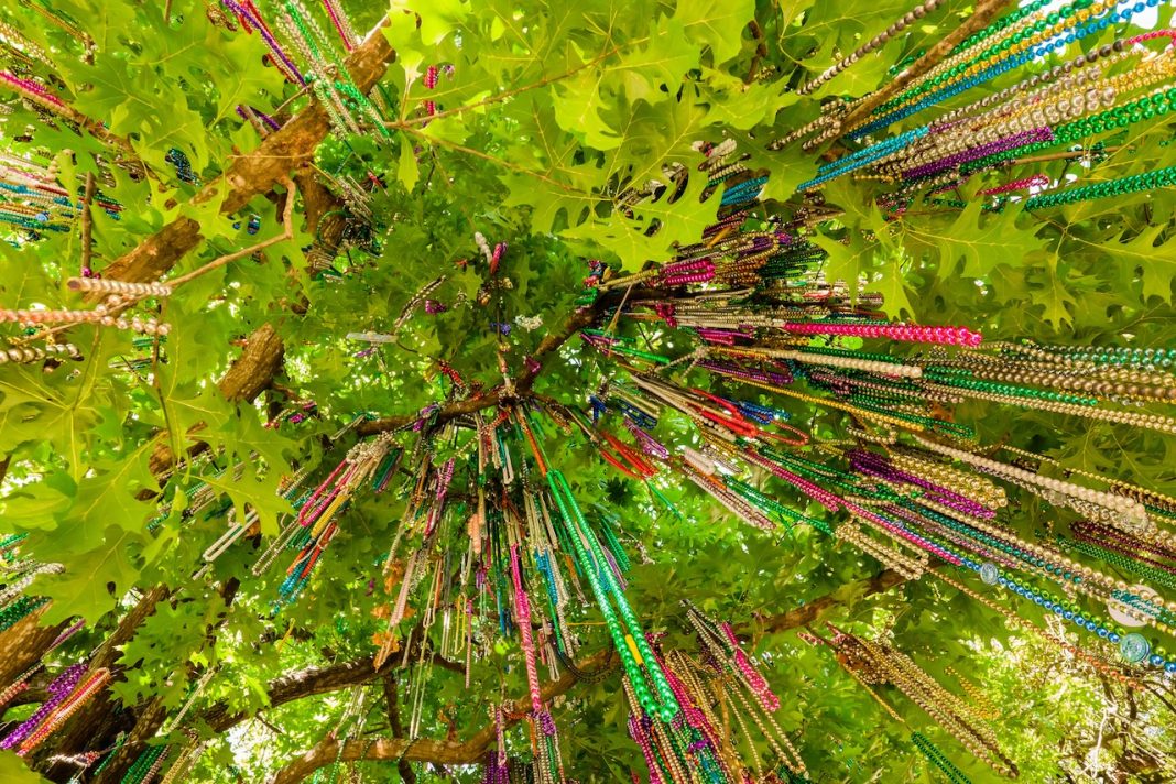 RecycleDAT! Delivers Strong Early Results for Mardi Gras 2026