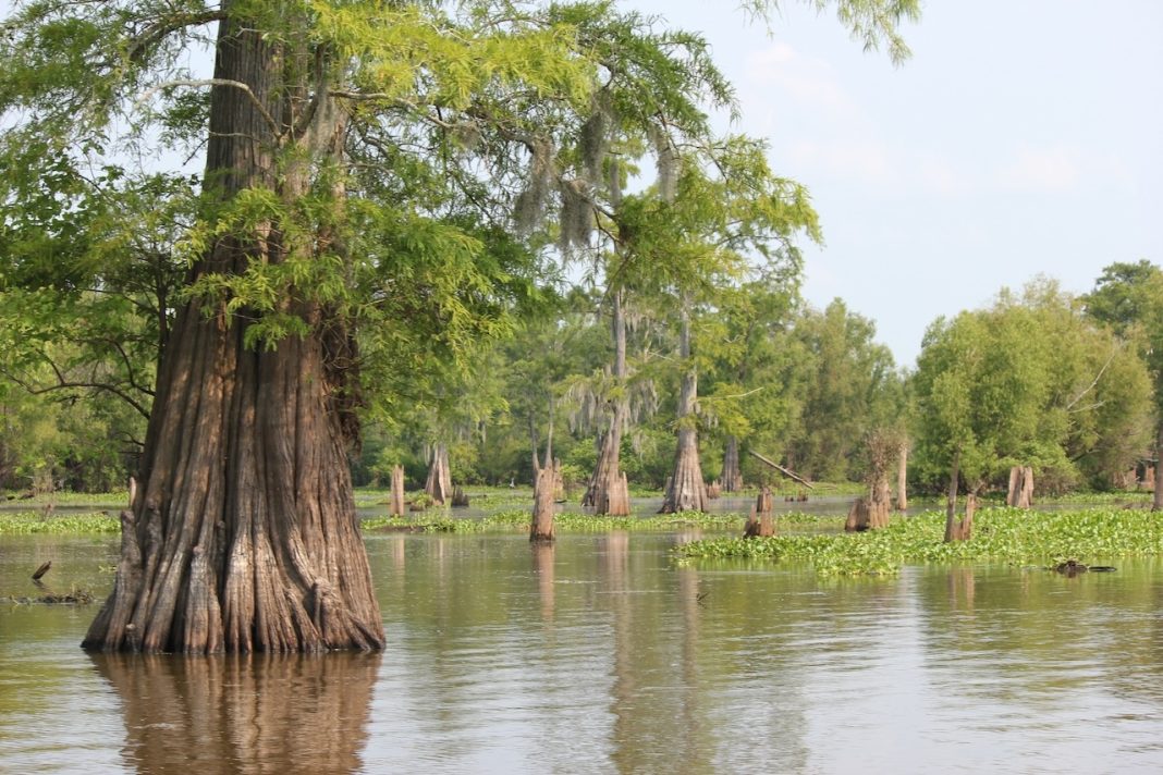 Louisiana Launches Water Innovation Studio