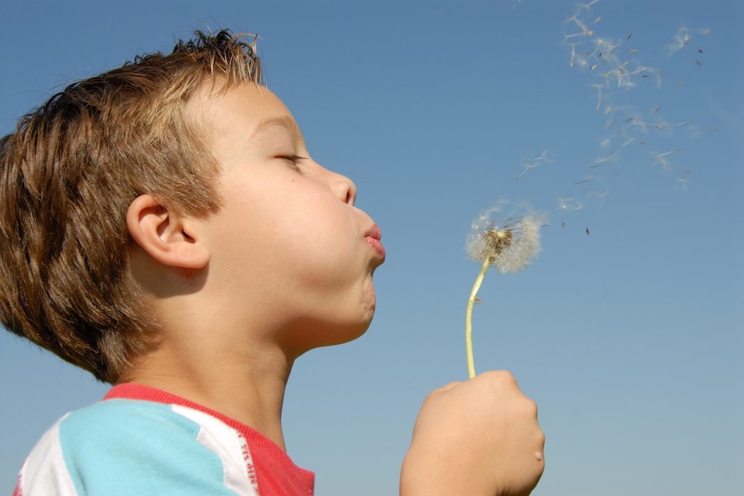 Make-A-Wish Expands Louisiana Presence