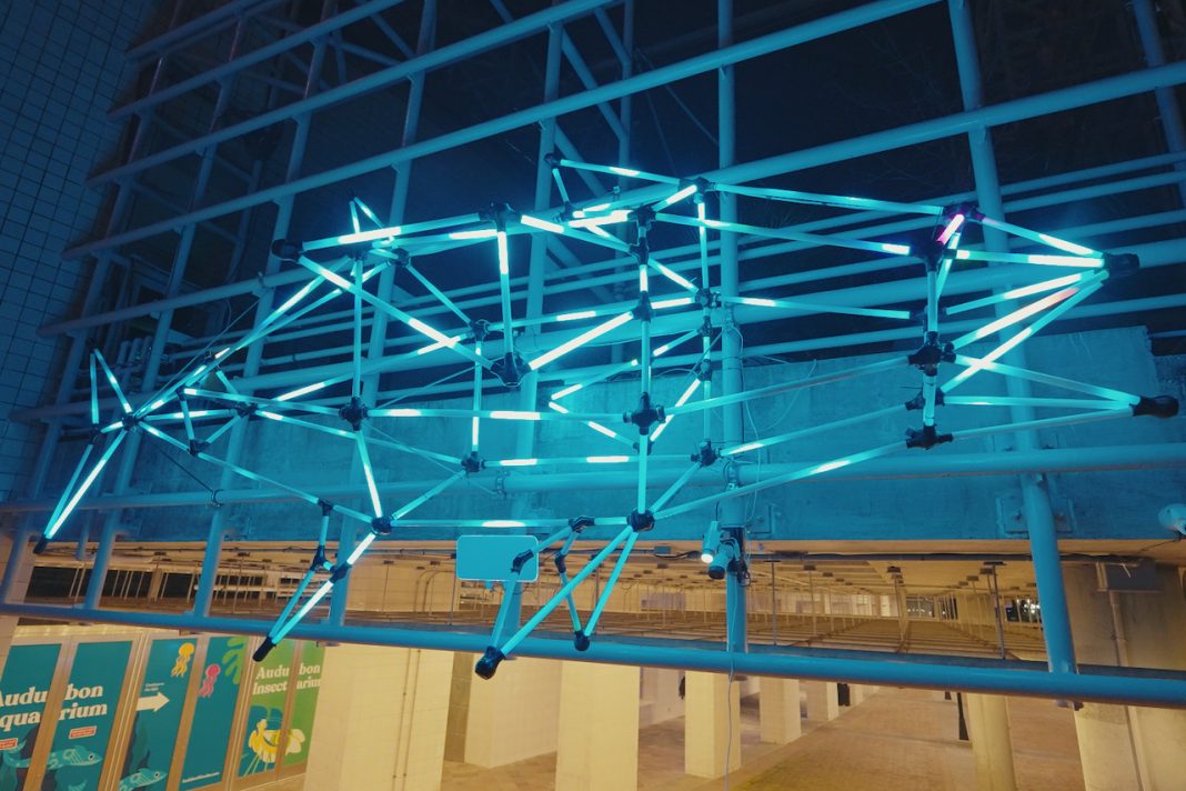 ChamäleTuna Lights Up Aquarium Entrance