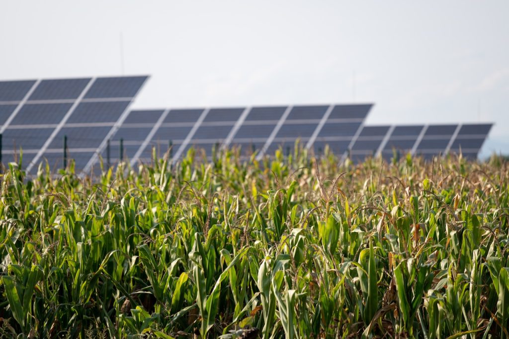 SEIA Report Puts Solar's Farmland Impact in Perspective