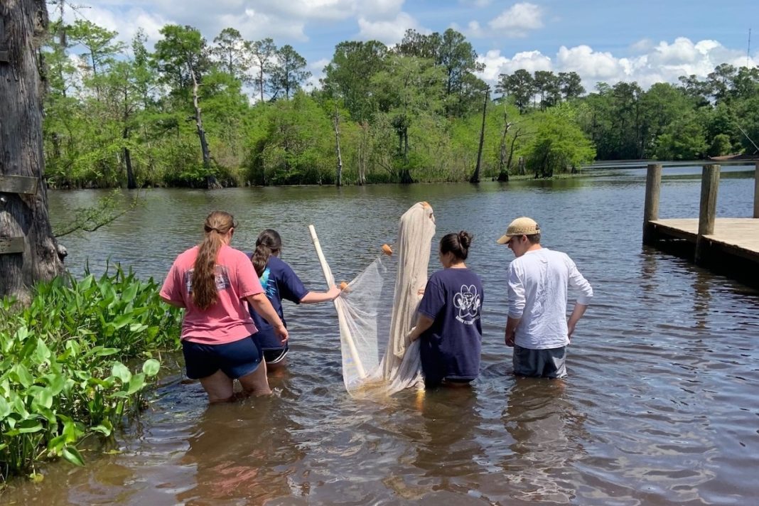 LSU New Orleans Wins 2 NSF Grants