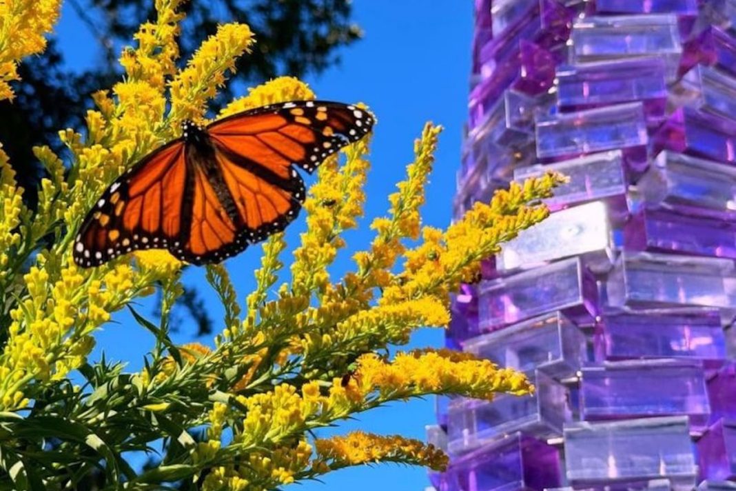 Week-in-Review July 6-10: Incubators, Hotels, Prizes and More