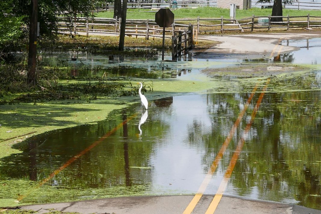 SBA Opens Disaster Loan Center in Thibodaux