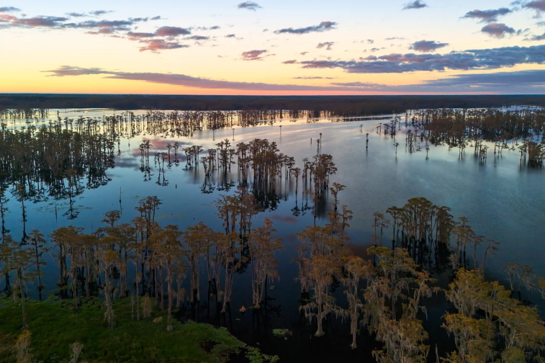 Black Bayou Plans $1.6B Louisiana Investment